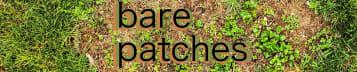 Bare Patches