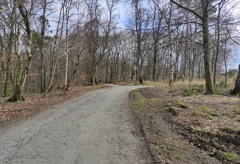 Views of a wide gravelled path, bordered by thin trees, and one of the lake