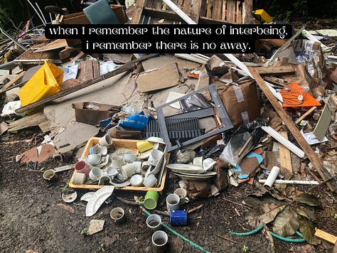 Images of a garbage pile in the middle of the rainforest 
