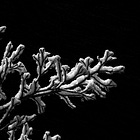 Beyond Cover: Chapter 2