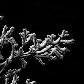 Beyond Cover: Chapter 2