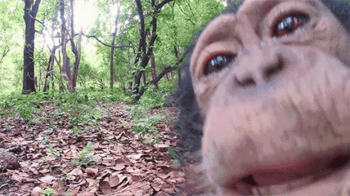 Couple Monkey Kissing Digital Art GIF | GIFDB.com