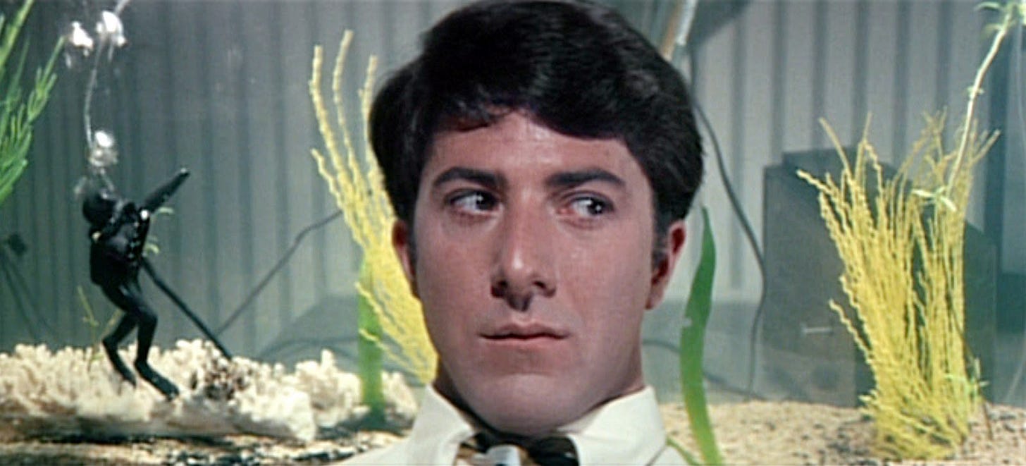 The Graduate – Paul Wake Baker