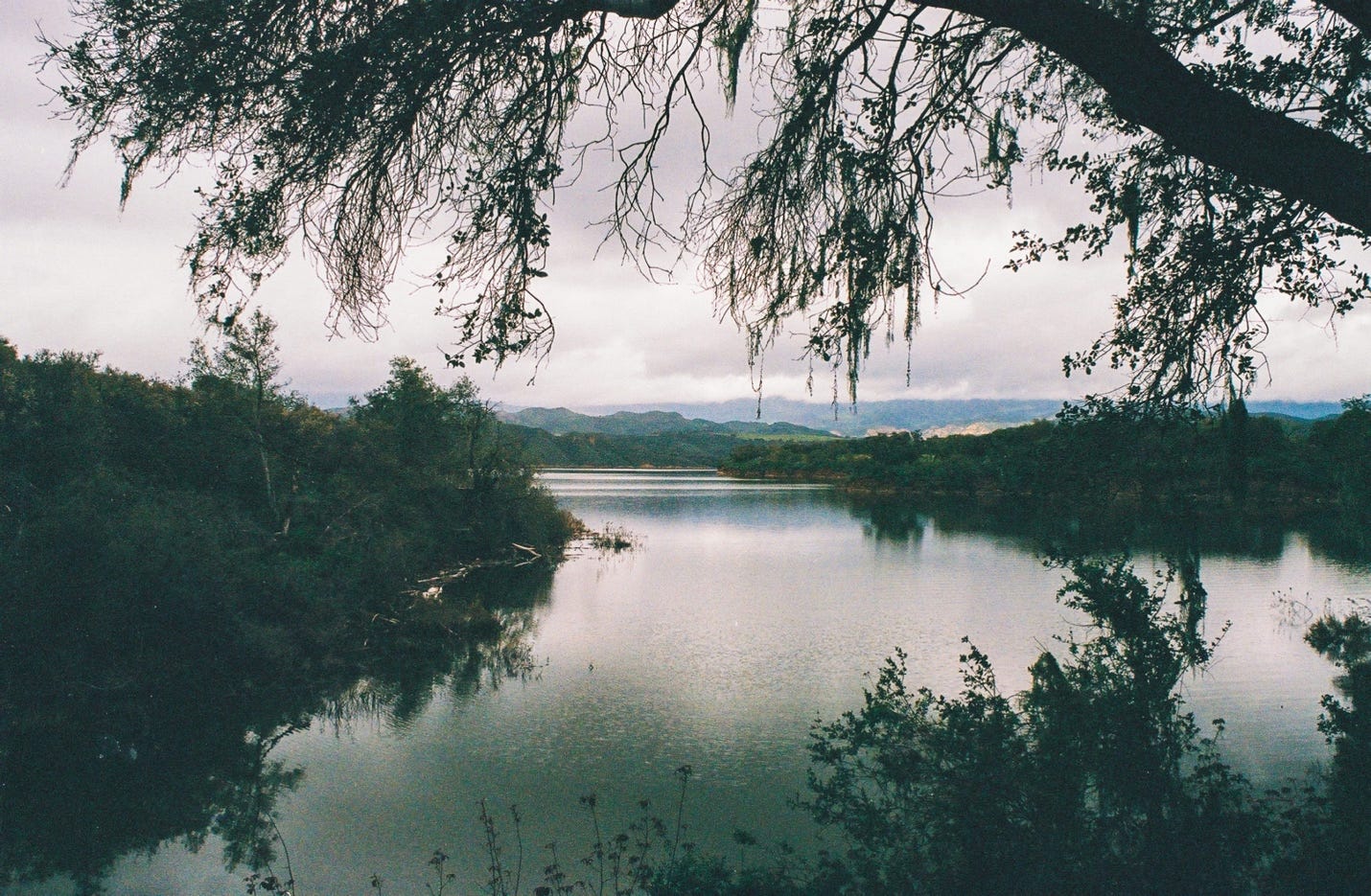 A lake surrounded by trees

Description automatically generated with medium confidence