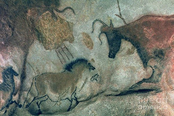 Wall Art - Painting - Rock Painting Showing A Horse And A Cow, C.17000 Bc by Prehistoric