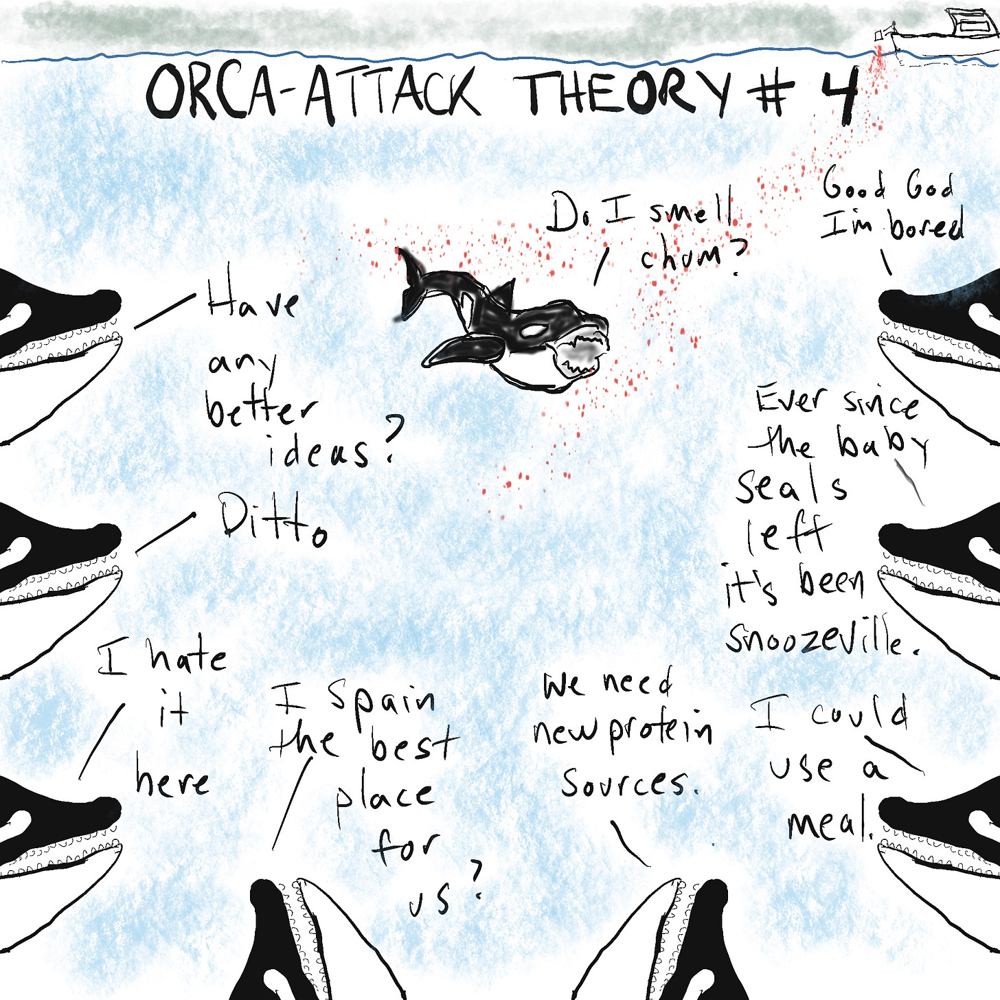 Orcas mass under a boat and consider sinking it