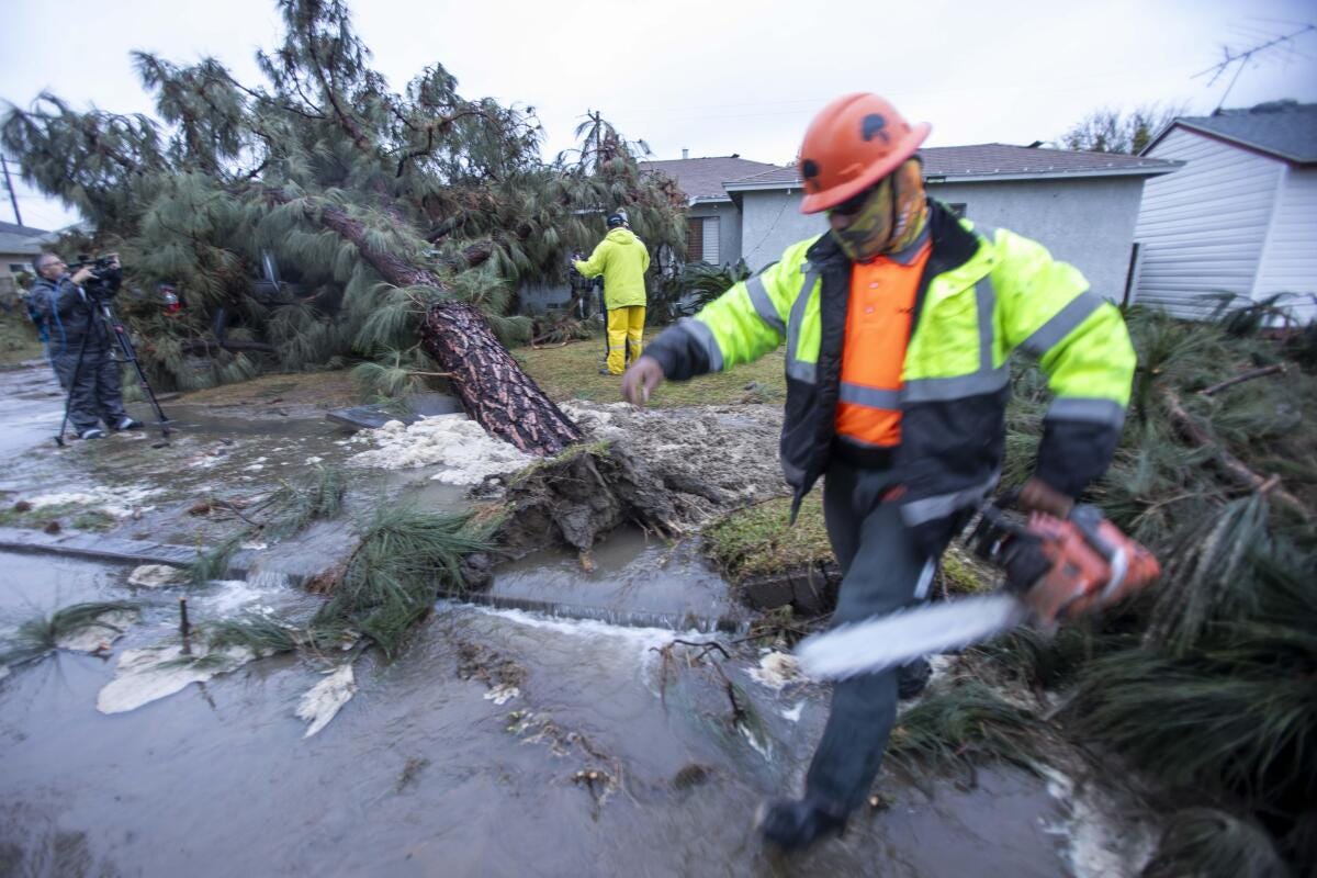 A worker with a chainsaw next to a fallen tree.