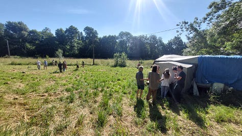 A snapshot of images taken from The Gathering 2024