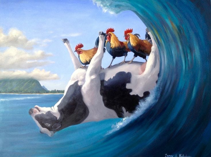 No photo description available.