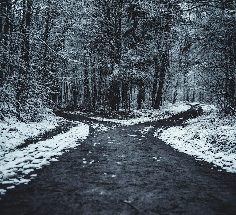 landscape photography of splitted road surrounded with trees