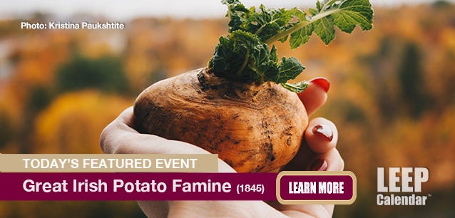 A potato with its leaves sprouting