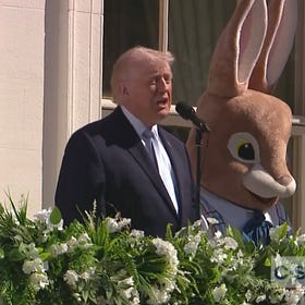 ‘The madness must stop now’