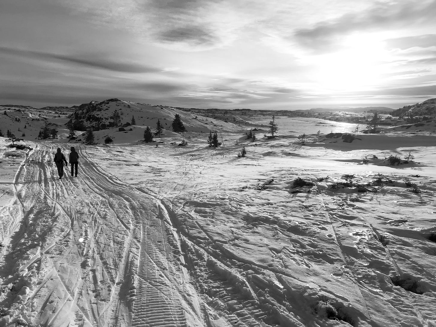 Vinter i fjellet, skispor på kryss og tvers, to mennesker går i skisporet bort fra kamera