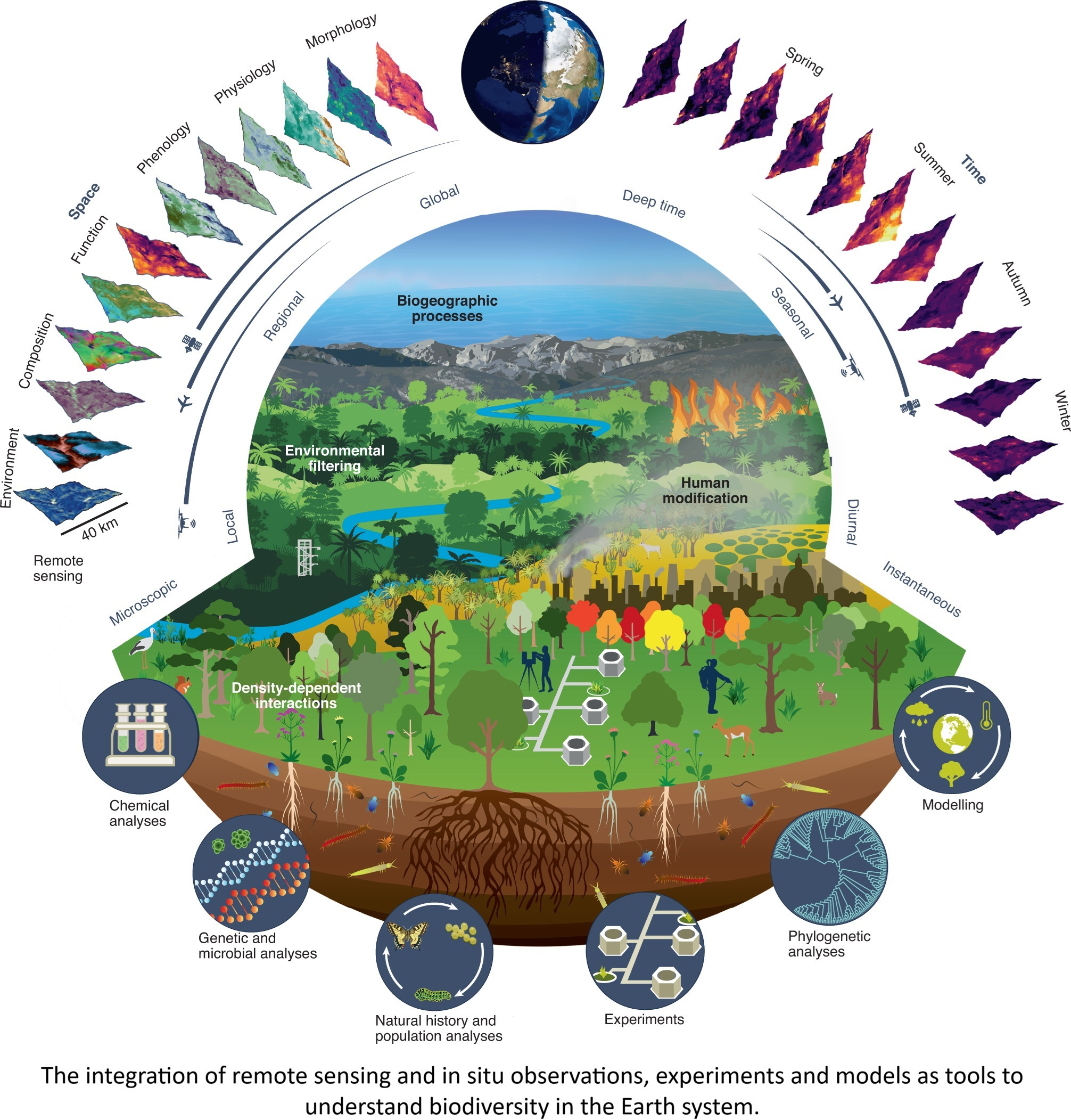 EarthStuff - Scale Dependence In Remotely Sensed Biodiversity: Leveraging Continental-Scale Imaging Spectroscopy From The National Ecological Observatory Network [spatial analysis]