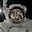 Swagat's avatar