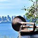 Democracy In North Vancouver