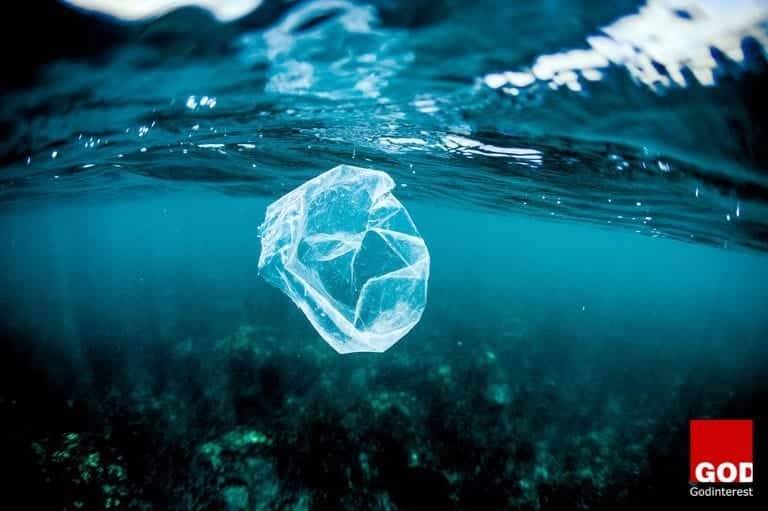 This is just the tiniest snapshot of our problem with plastics. Every year an estimated eight million tonnes of the material flow into the oceans.