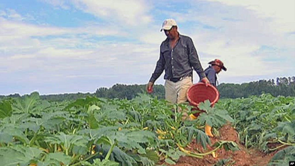 The price of eggs should never go up.