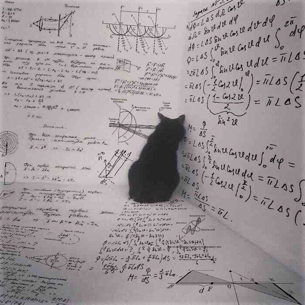 boriquagato.substack.com