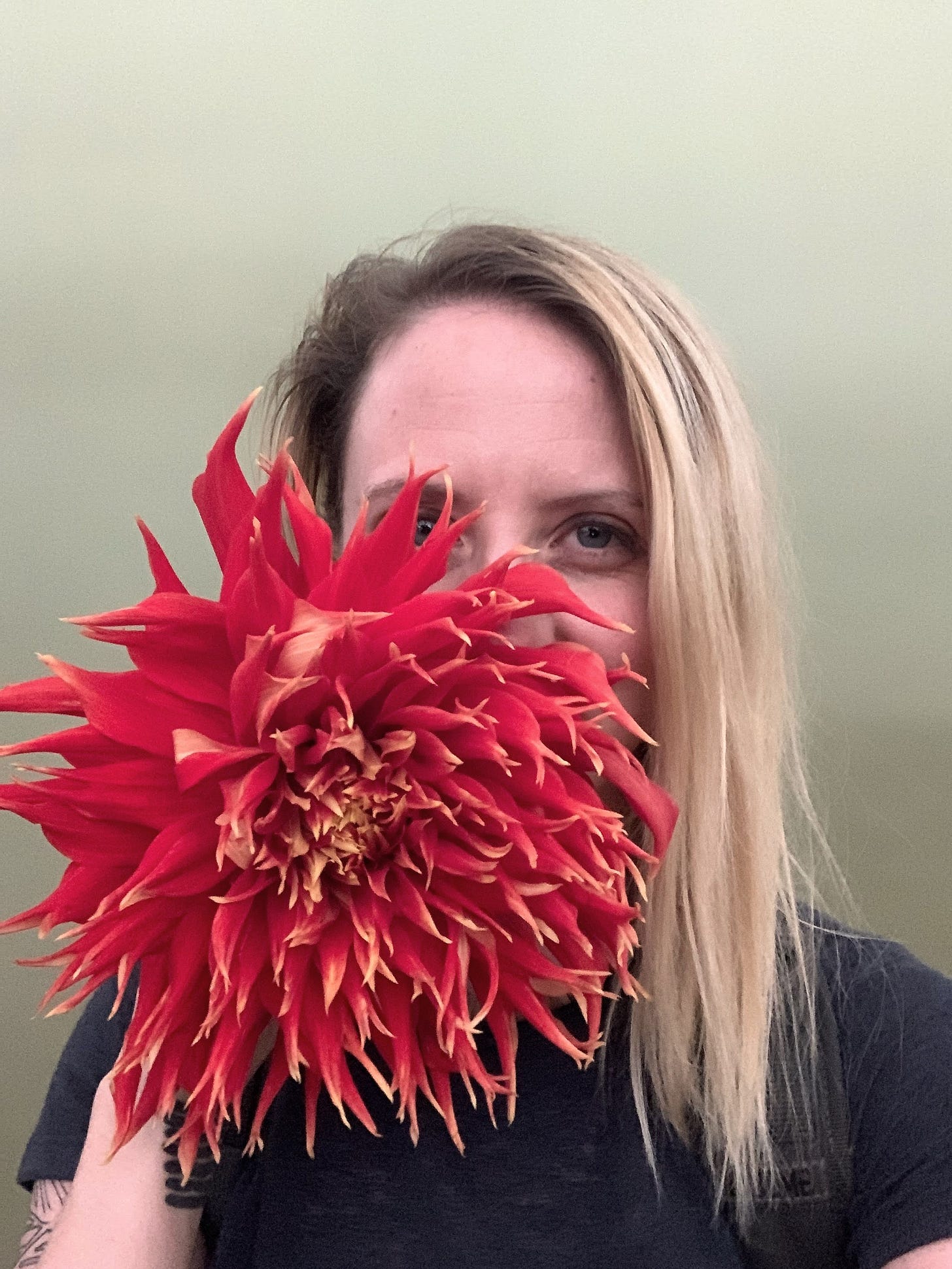 close-up of a woman's face behind a very large red dahlia flower