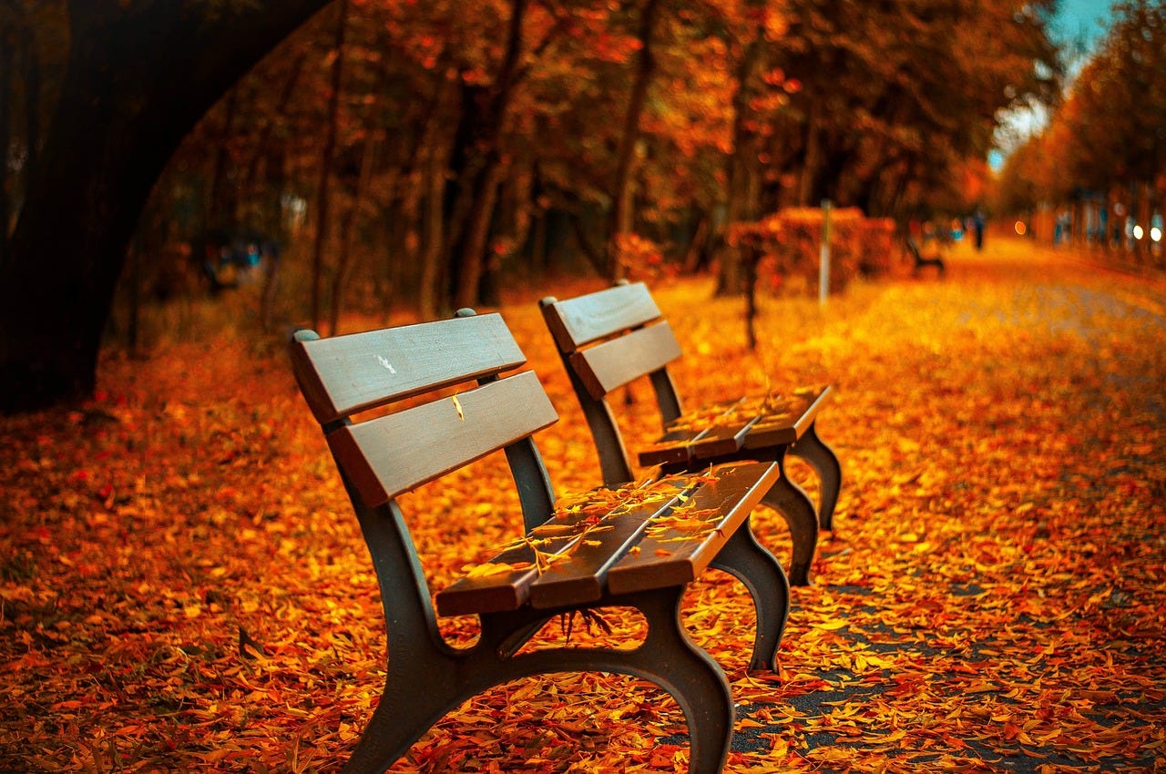 Free Benches Autumn photo and picture