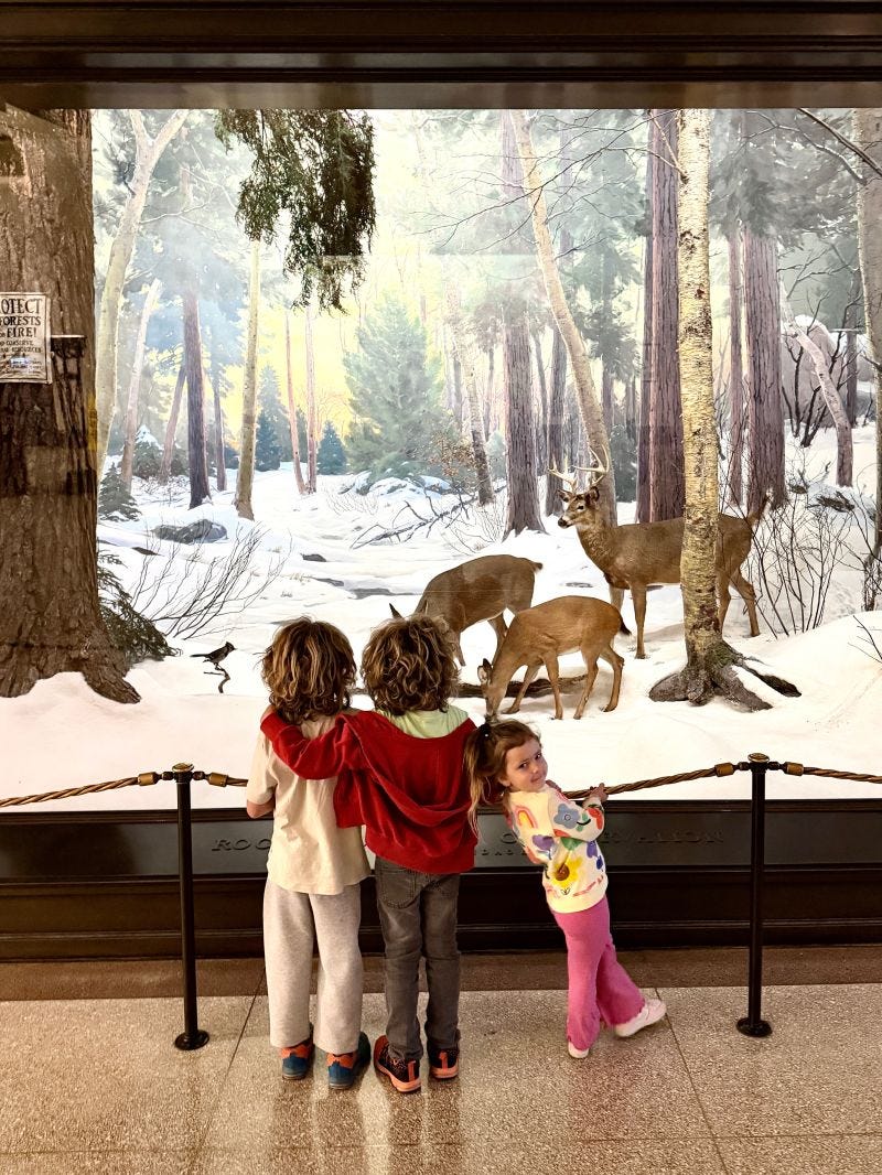 No alternative text description for this image No alternative text description for this image