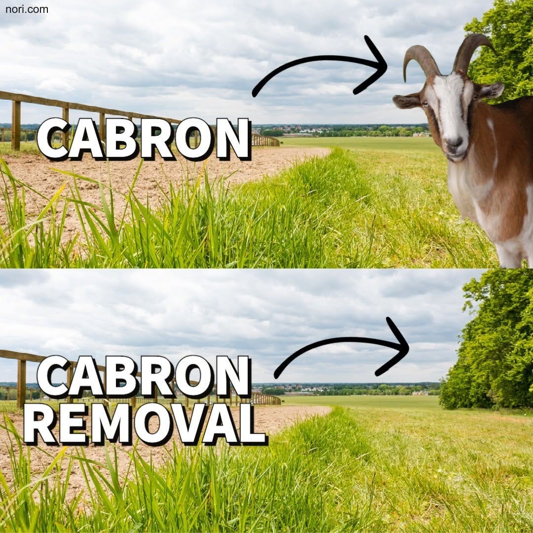 Two photos of a green field by a fence. Top: an arrow points to a goat, labelled "Cabron". Bottom: the goat is gone and the arrow points to empty grass, labelled "Cabron removal".