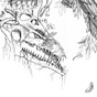 NaBo's avatar