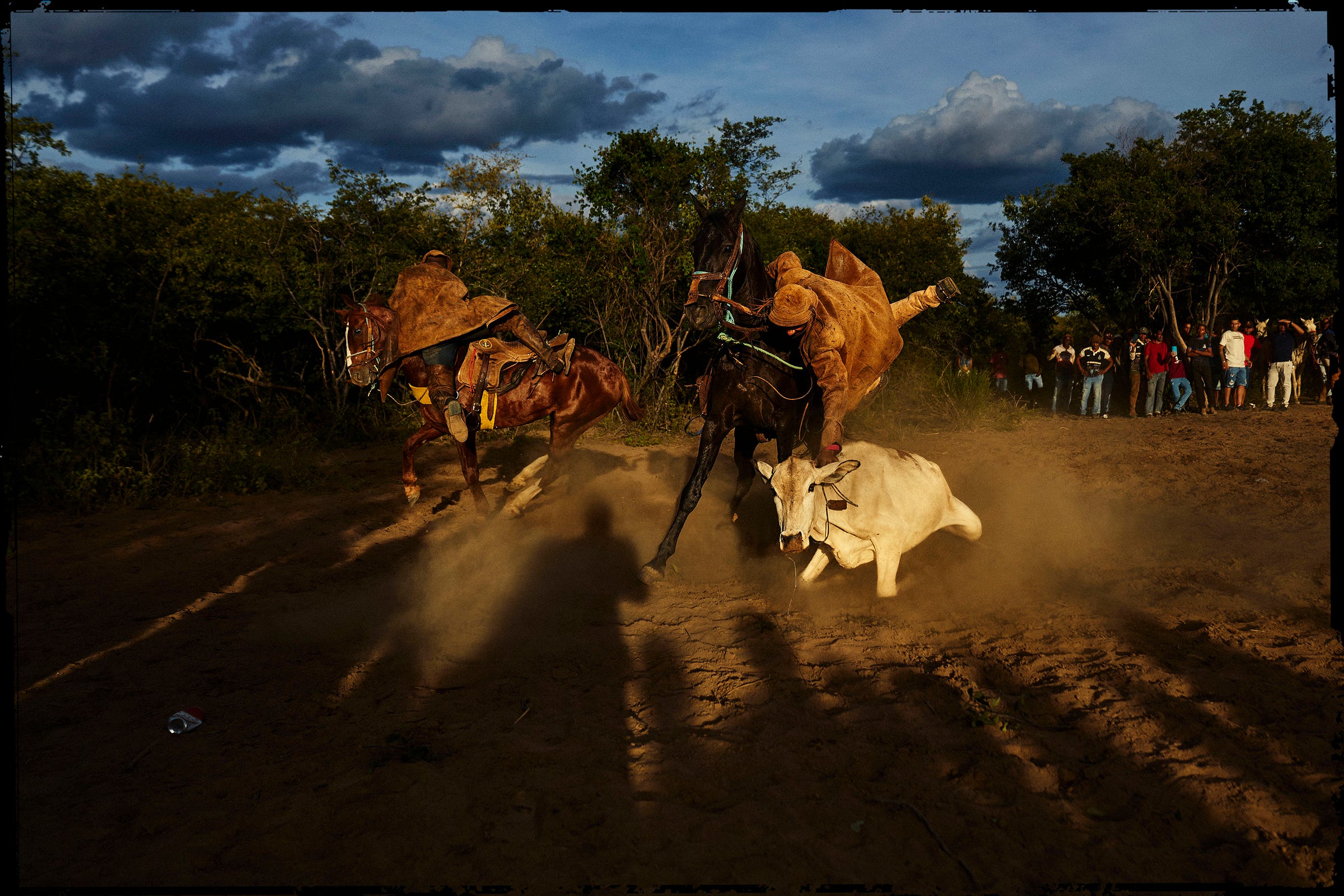 Two horse riders wearing brown ponchos chase a white calf across a dusty field, while a group of spectators watches from the background under a dramatic, cloudy sky.