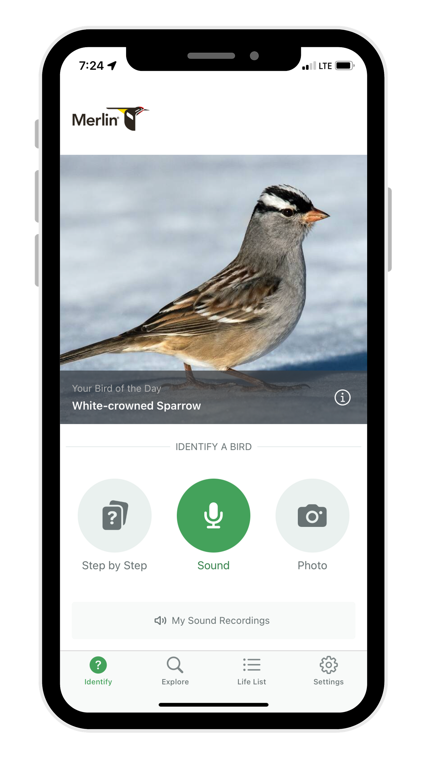 Using Merlin Bird ID to Participate – Great Backyard Bird Count