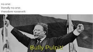 Made By Us on X: "BULLY: adjective, 1800s, meaning terrific, superb,  totally fab... Teddy Roosevelt referred to his position of #POTUS as a bully  pulpit - an unmatched platform for change. Now,