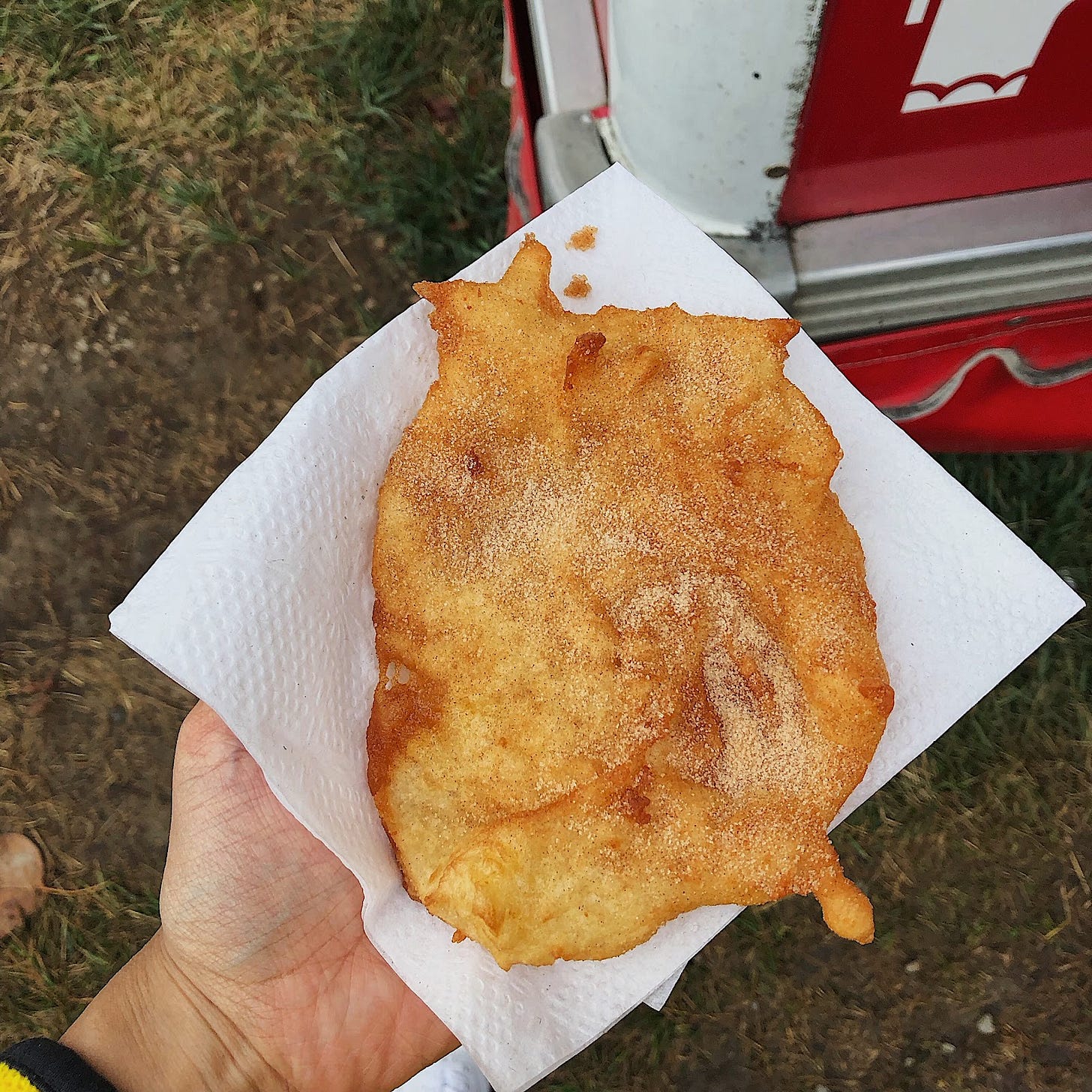 An oval piece of fried dough on a napkin overhead with cinnamon sugar placed in a hand.