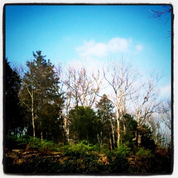 sunny day