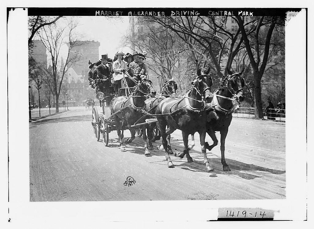 a group of people sitting in a horse drawn carriage in Central Park