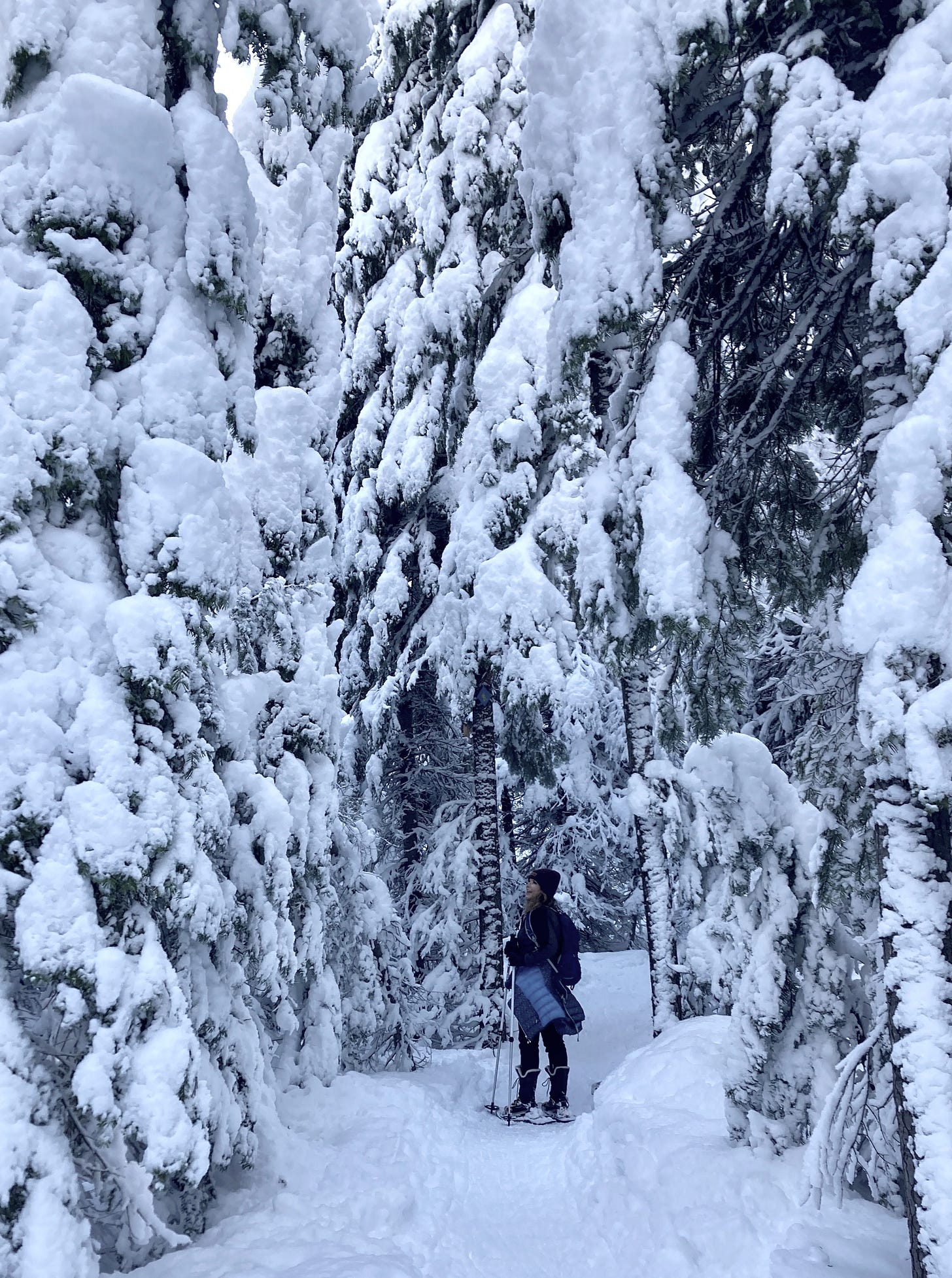 Karista snow shoe hiking through the forest of the Cascade Mountains of Oregon