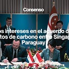 Los intereses en el acuerdo de créditos de carbono entre Singapur y Paraguay