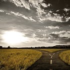The Crossroads