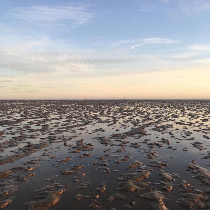 Posts stand as waymarkers on The Broomway. The sun is starting to lower in the sky so there is a warm hue. Ridges in the sand allow the shallow water to be rippled and reflects back darkness.