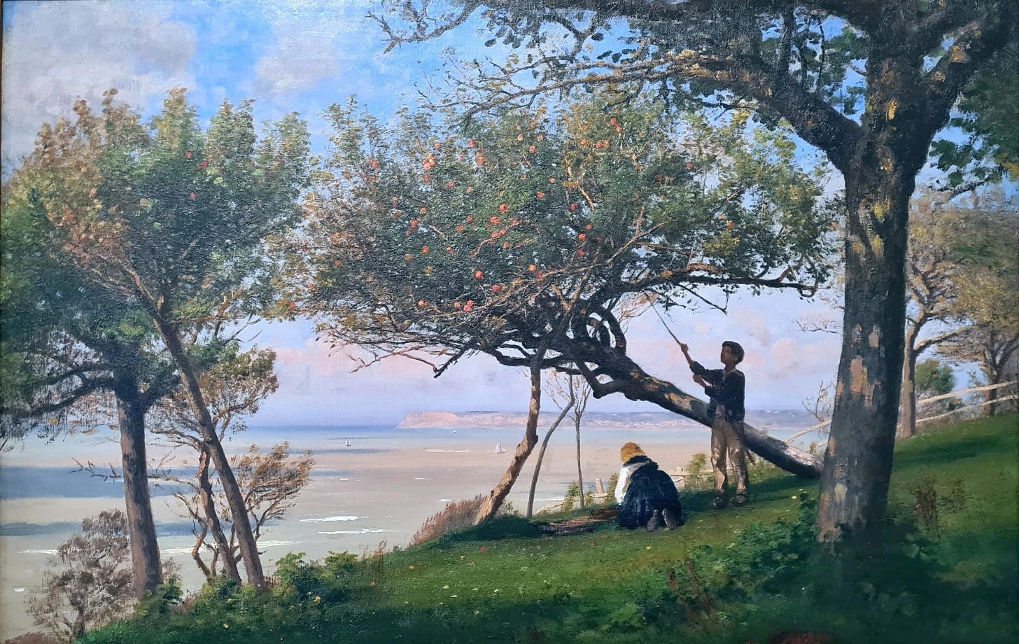 un verger normand avec deux jeunes adolescents qui ramassent les pommes des arbres fruitiers devant la mer
