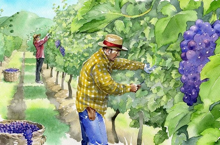 Credit: Wine Enthusiast Magazine