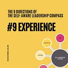 The Self-Awareness Compass: Direction #9 - Experience