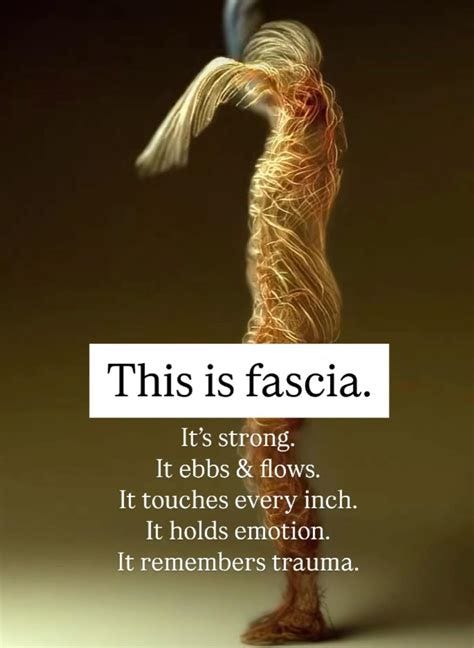 Yogaschool De Blauwe Vlinder | Beverwijk