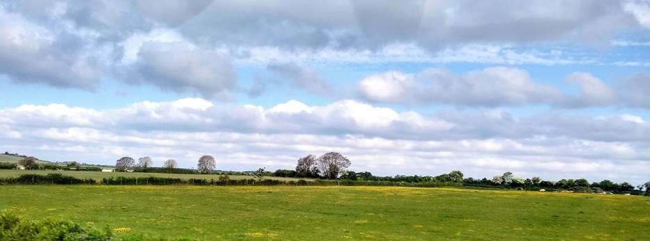 A green field with bushes and trees
AI-generated content may be incorrect. A green field with bushes and trees
AI-generated content may be incorrect.