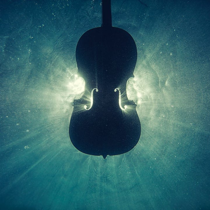 Violin Substack logo