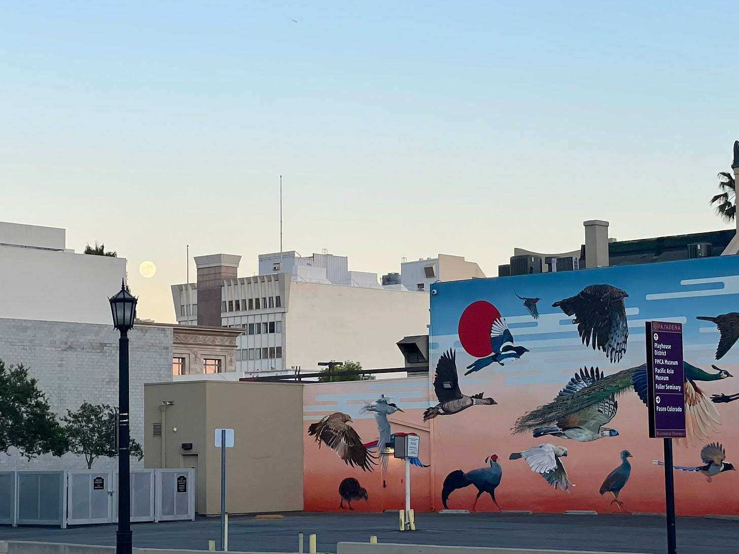 Moon rises over urban buildings and a mural featuring migratory birds. Moon rises over urban buildings and a mural featuring migratory birds.