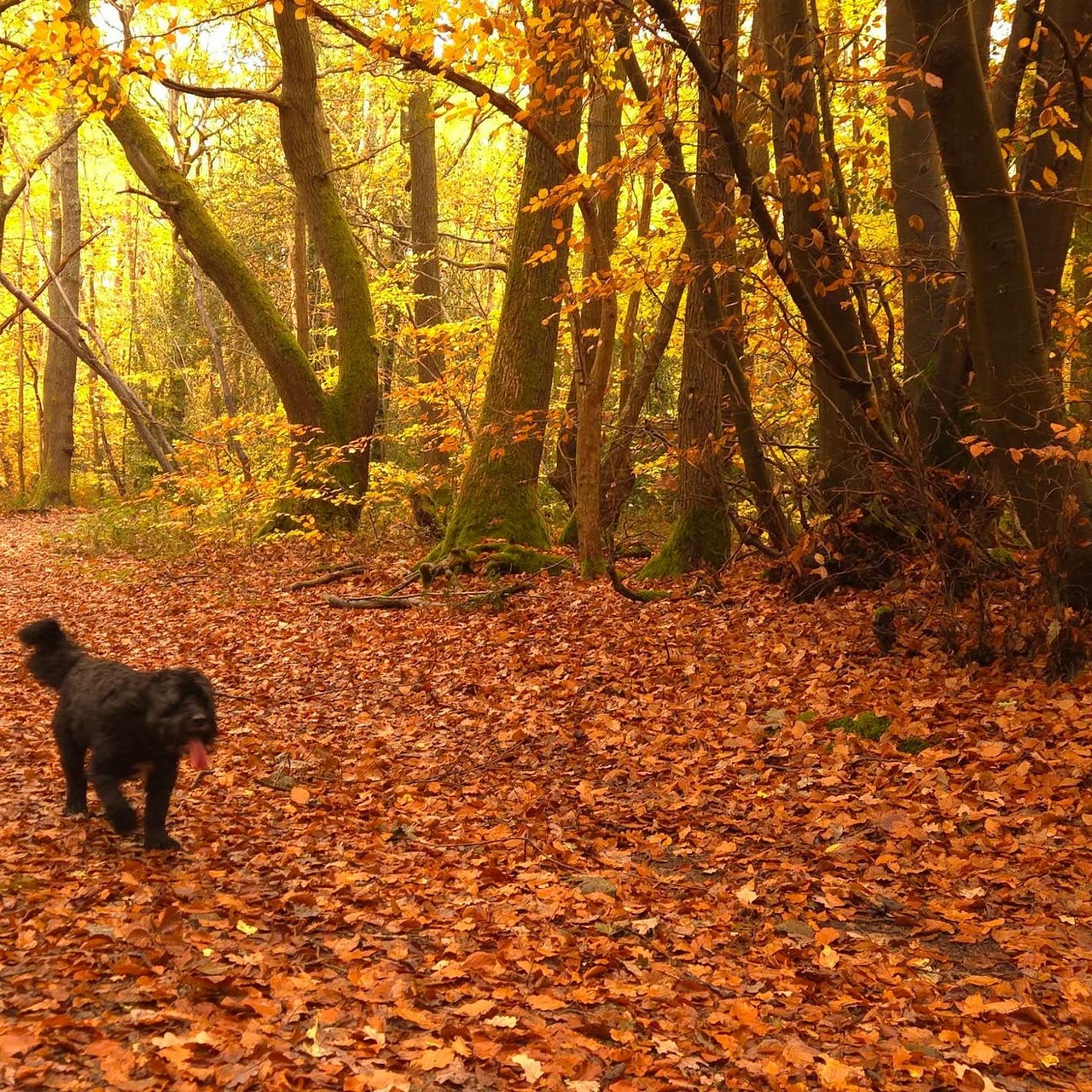 Zarni tells it like it is