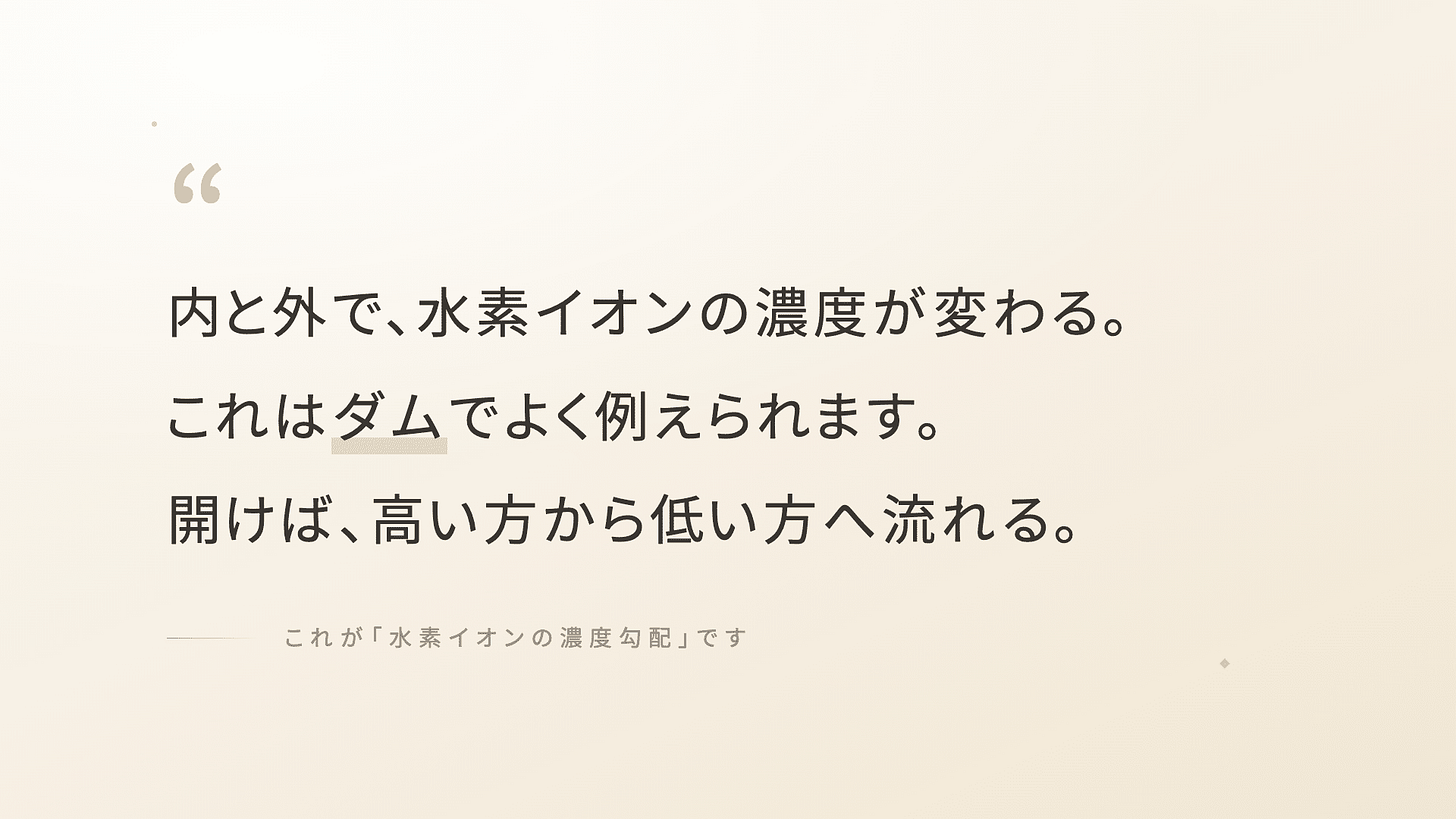 解糖系クエン酸回路電子伝達系 | 精密栄養学 解糖系クエン酸回路電子伝達系 | 精密栄養学