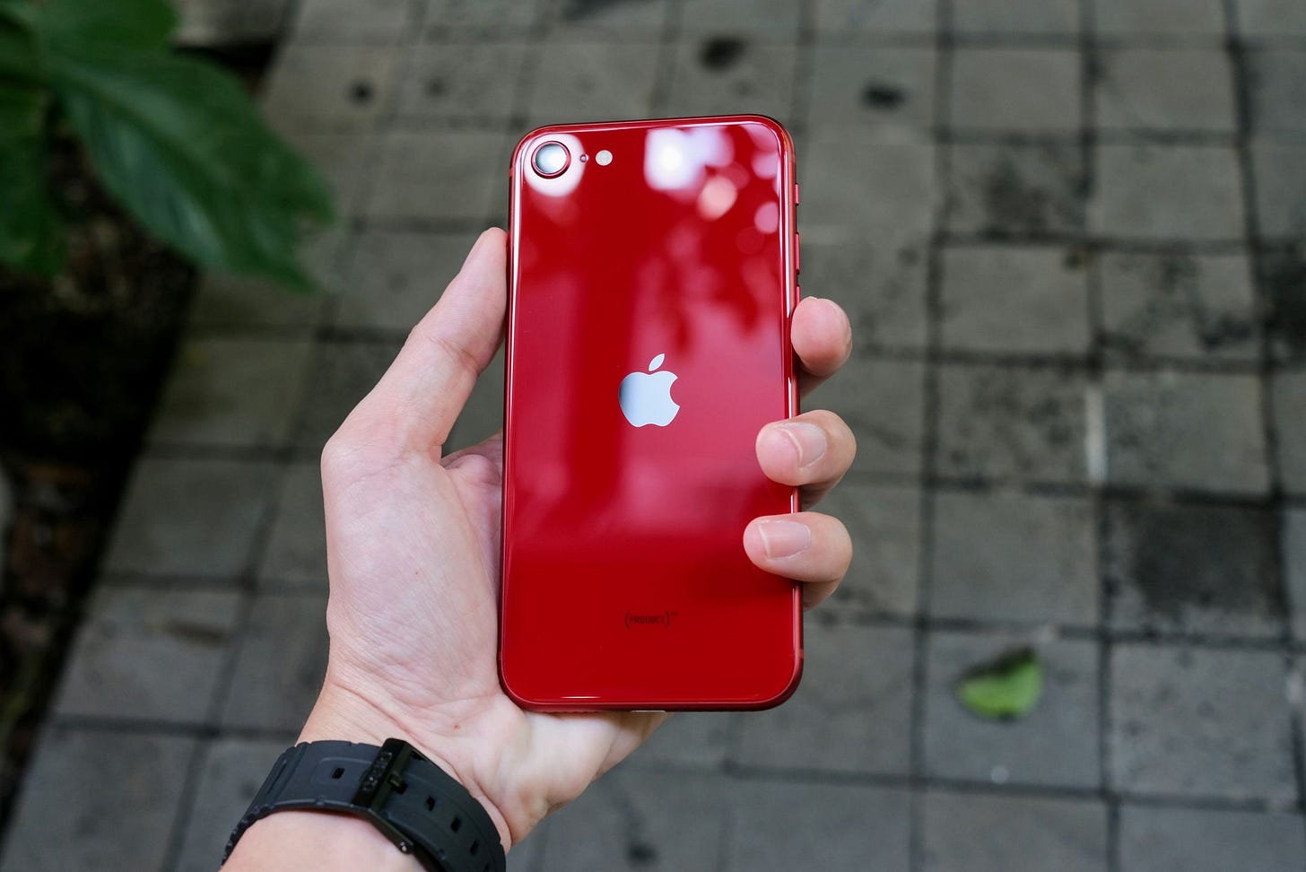 iPhone SE 2022