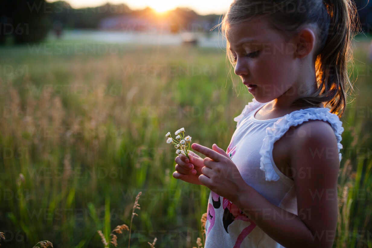 Girl looking at flowers in farm during sunset stock photo