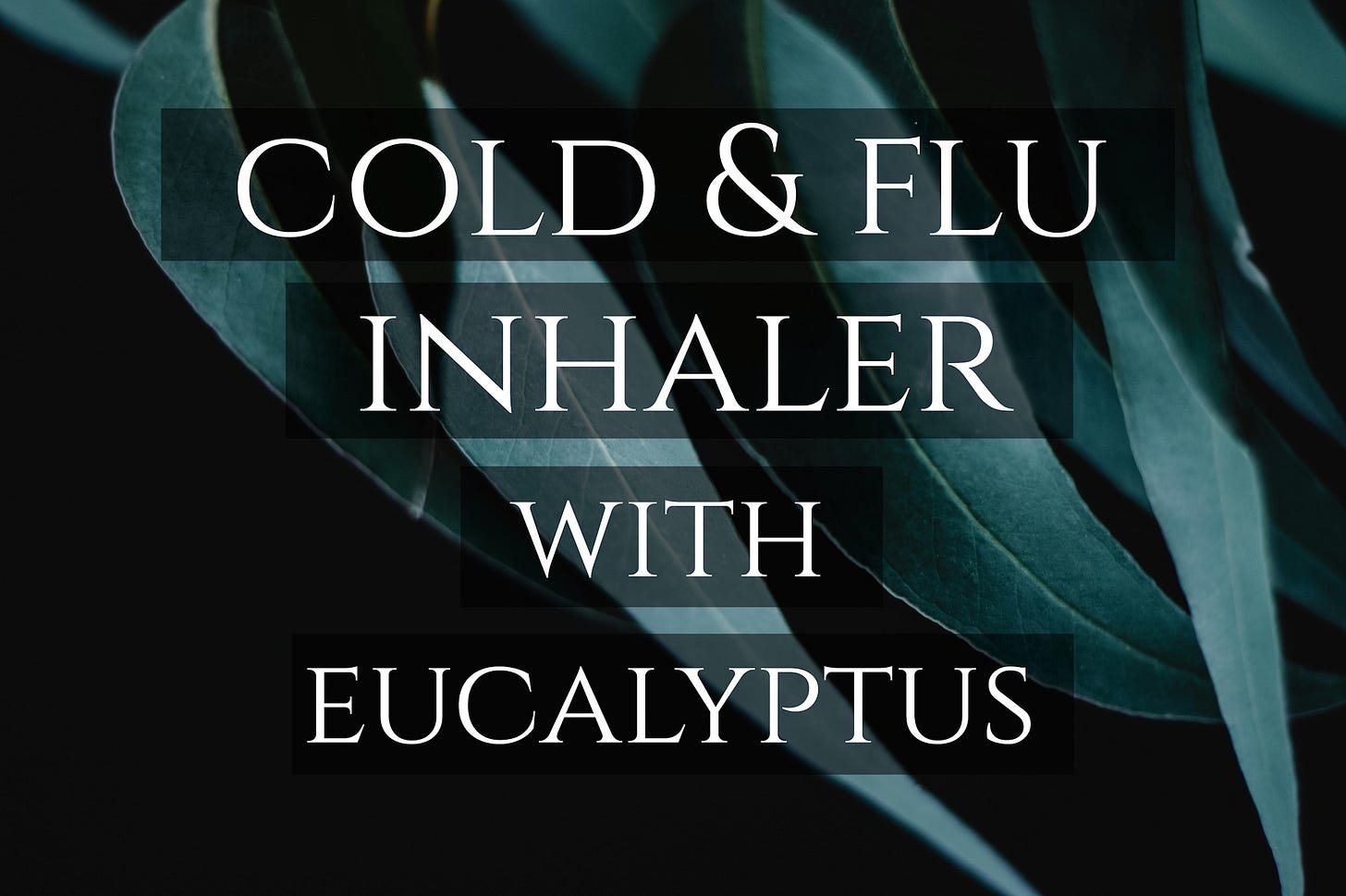 Cold & Flu Inhaler with Eucalyptus - by Leslie